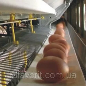 Транспортные ленты Транспортные ленты